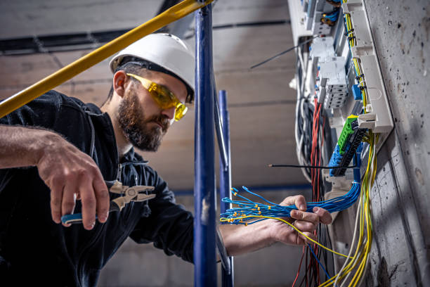 Best Electrician for Home Renovation  in Harbour Heights, FL