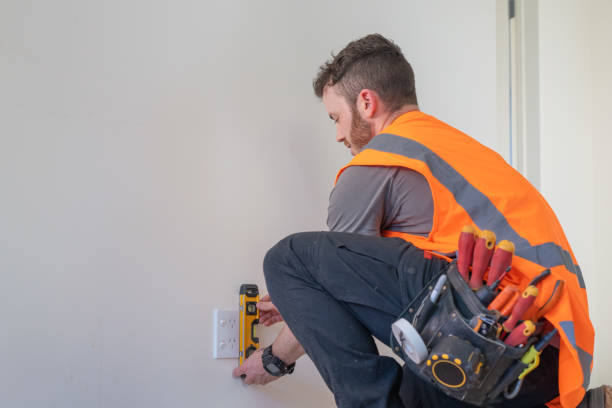 Best Generator Installation Services  in Harbour Heights, FL